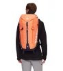 Раница Mammut Trion 38L Winter 2025