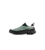 Mammut Alnasca IV Low GTX Men
