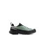 Mammut Alnasca IV Low GTX Men