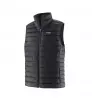 Patagonia Down Sweater Vest M's Winter 2025