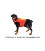 Ruffwear Float Coat Life Jacket