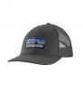 Patagonia P-6 Logo LoPro Trucker Hat Winter 2025