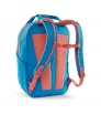 Patagonia Atom Tote Pack 20L Winter 2025