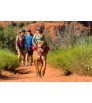 Ruffwear Singletrak Dog Pack