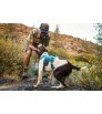 Ruffwear Web Master Harness