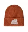 Patagonia Kid's Logo Beanie Winter 2025