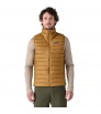 Patagonia Down Sweater Vest M's Winter 2025