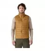 Patagonia Down Sweater Vest M's Winter 2025