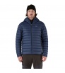 Patagonia Down Sweater Hoody M's Winter 2025