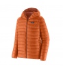 Patagonia Down Sweater Hoody M's Winter 2025