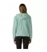Patagonia Women's Micro D Fleece Hoody