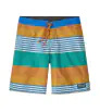 Patagonia Wavefarer Boardshorts - 19