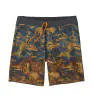 Patagonia Hydropeak Boardshorts 18