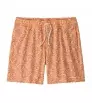 Patagonia Hydropeak Volley Shorts 16