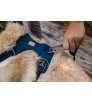 Ruffwear Front Range Harness