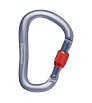 Black Diamond Rocklock Screwgate Carabiner Winter 2025