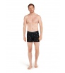 Icebreaker Merino 150 Anatomica Boxers Ski Day Winter 2025