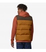 Елек Patagonia Downdrift Vest M's Winter 2025