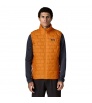 Patagonia Nano Puff Vest M's