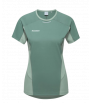 Mammut Aenergy FL T-Shirt W's Summer 2023