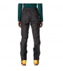 Patagonia Mixed Alpine Pants W's