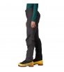 Patagonia Mixed Alpine Pants W's