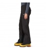 Patagonia Triolet Pants W's