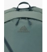 Раница Gregory Aerolite 25L
