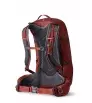 Раница Gregory Citro 30L