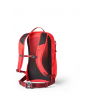 Раница Gregory Kiro 20L RC