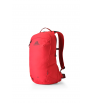 Раница Gregory Kiro 20L RC