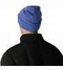 Шапка Patagonia Everyday Beanie