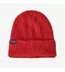 Beanie Patagonia Fisherman's Rolled Winter 2025