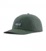 Patagonia P-6 Label Trad Cap