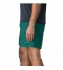 Patagonia Baggies 5