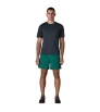 Patagonia Baggies 5