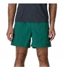 Patagonia Baggies 5