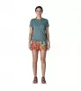 Patagonia Baggies 5