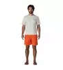 Patagonia Baggies Longs Shorts 7