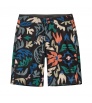 Patagonia Hydropeak Boardshorts 21