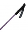 Trekking poles MASTERS Hiker Compact Lite