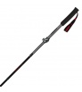 Trekking poles MASTERS Trecime Lite