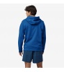 Суитчър Patagonia '73 Skyline Uprisal Hoody Winter 2025