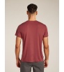 ICEBREAKER M M CORE SS TEE T HEAD Summer 2025