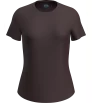 Icebreaker Merino 125 Cool Lite Sphere SS Tee W's