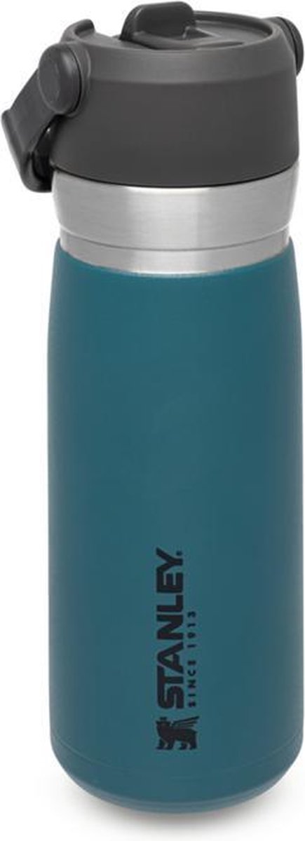 Go Flip Straw Water Bottle, 0.65L