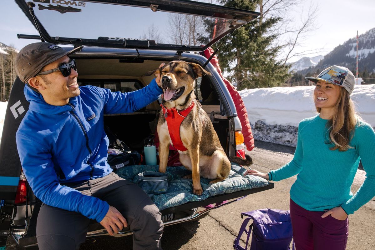 Ruffwear Basecamp Dog Bed Small Basecamp Shop